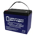 Mighty Max Battery 12V 75AH GEL Battery Replacement for Wayne WSS30V Backup Sump Pump ML75-12GEL366
